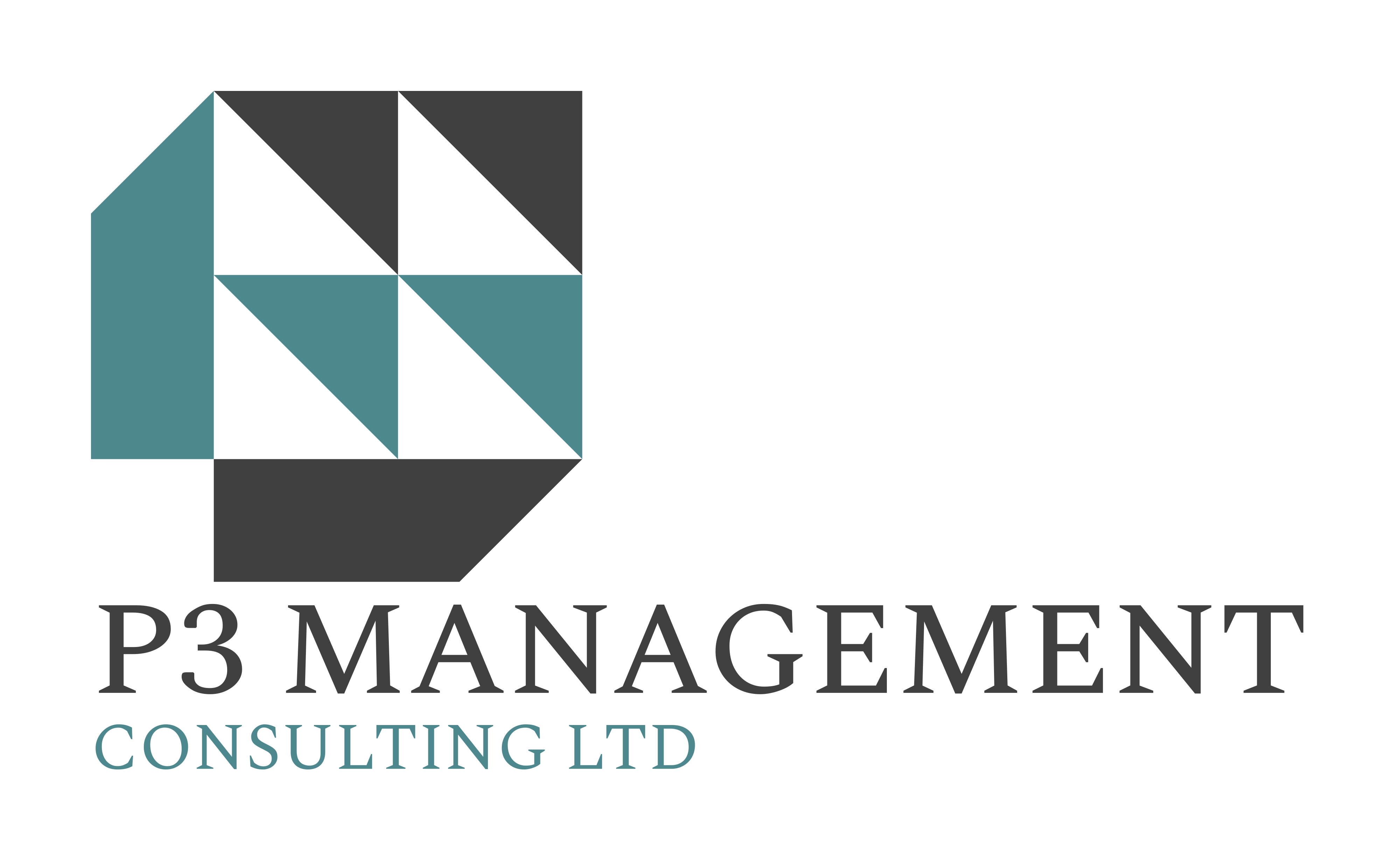 P3 Management Consulting Ltd